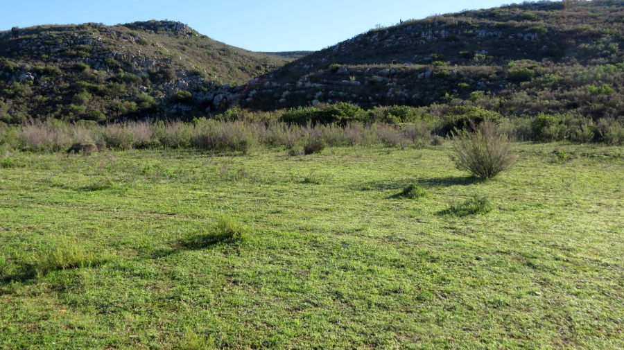 Commercial Property for Sale in Swellendam Rural Western Cape